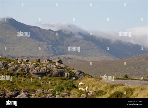 Ring Of Kerry Scenery Stock Photo Alamy