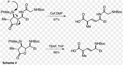 Mecanism Tetra N Butylammonium Fluoride Organic Chemistry Reaction