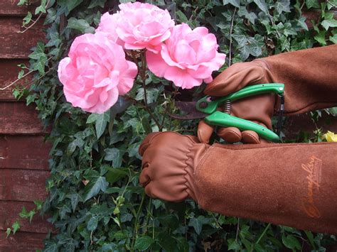 Rose Pruning Gloves For Men And Women Thorn Proof Goatskin Leather Gardening Ebay