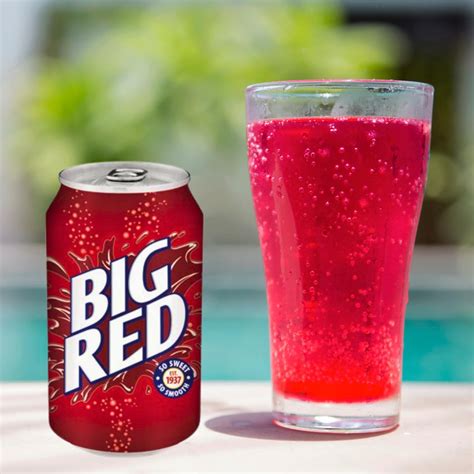 Big Red and Big Red Zero Cream Soda Soft Drink Bundled by Louisiana Pa ...