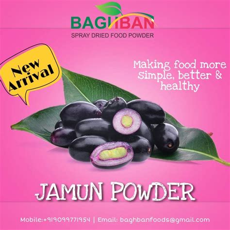 Jamun Powder Baghban Foods Packaging Size 20 Kg At Rs 500 Kg In