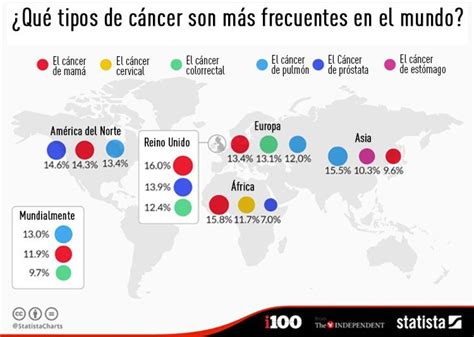 Infograf A Estos Son Los Tipos De C Ncer M S Frecuentes Del Mundo Rt