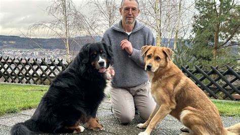 Rettungshunde Auf der Fährte zum Happy End Kronach Neue Presse Coburg