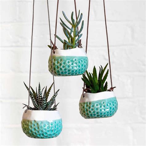 Indoor Hanging Plant Pots - Quality Indoor Plant Pots - Hortology