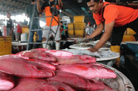 Jelang Pergantian Tahun Pasar Ikan Muara Angke Sepi Pembeli