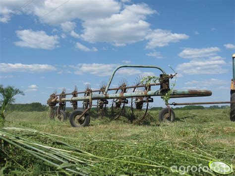 Zgrabiarka Fotka Zgrabiarki Galeria Rolnicza Agrofoto