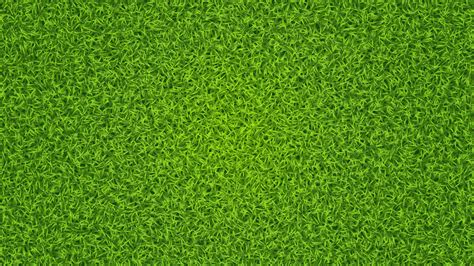 Green Grass Vector Texture Fresh Lawn Summer Grass Background 20310394 Vector Art At Vecteezy