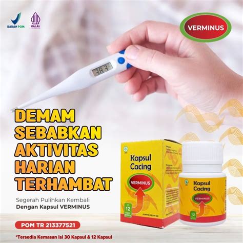 Verminus 30 Kapsul Cacing Herbal Untuk Demam Dan Tipes Lazada Indonesia