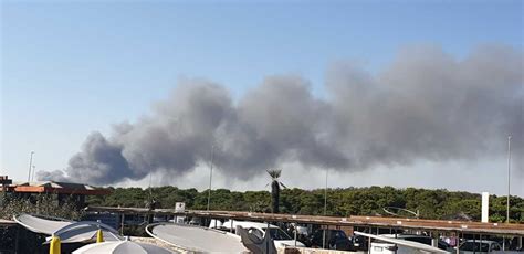 Incendio In Un Camping A Castel Fusano Bungalow Distrutti