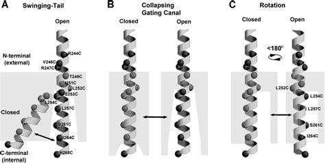 Three Models For Conformational Changes In Hcn R S Region During