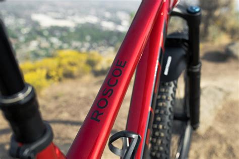 Review Trek Roscoe 9 Hardtail 2022