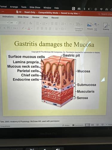 GI Disorders Liver And Exocrine Pancreas Flashcards Quizlet