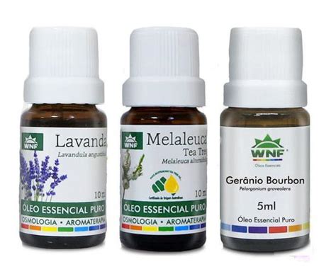 Kit C Leo Essencial Lavanda Tea Tree Melaleuca E Ger Nio Wnf