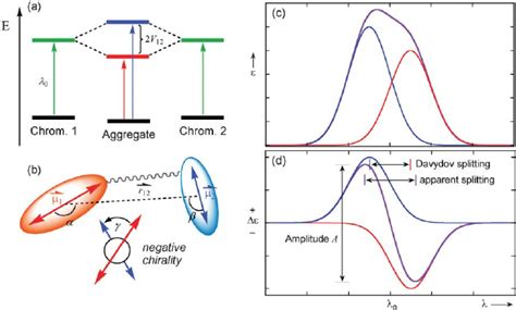 A Splitting Of The Excited States Of Two Degenerate Exciton Coupled