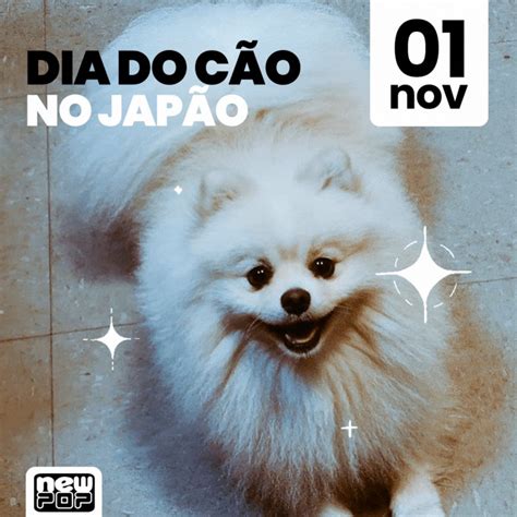 NewPOP Editora on Twitter Você sabia que hoje dia 1º de novembro é