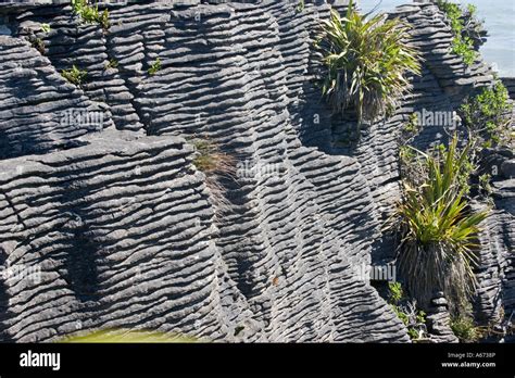 Layered Limestone Rocks In Cliffs At Pancake Rocks Punakaiki South