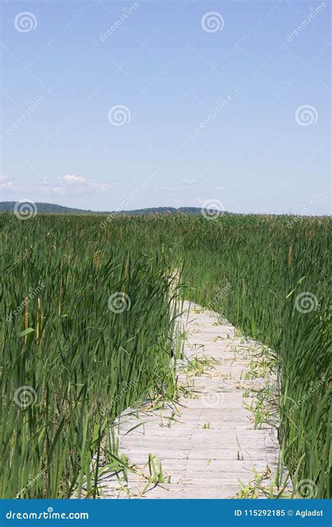 Hellcat Boardwalk At The Parker River National Wildlife Refuge