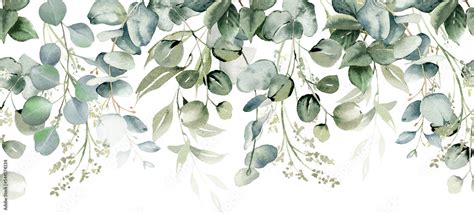 Naklejka Eucalyptus Leaves Seamless Border Watercolor Floral