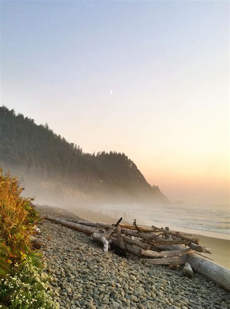 Oregon Coast | Places to see, Oregon coast, Natural landmarks