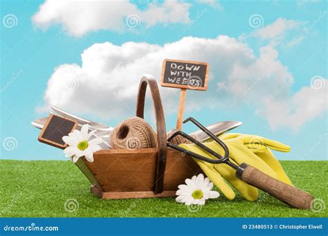 Gardening Trug stock image. Image of gardening, garden - 23480513