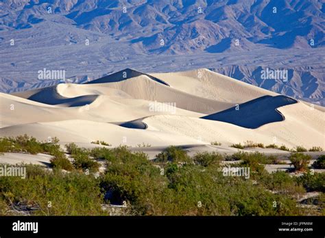 Death valley wildlife hi-res stock photography and images - Alamy
