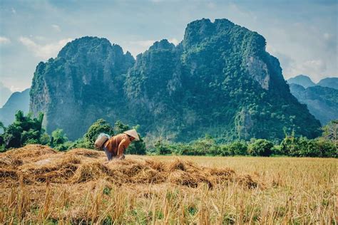 Woman Working On The Farmland In Vang Vieng One Of The Best Things To