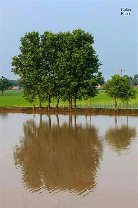 So Fantastic Photography Of Natural Beauty Of Rural Punjab Pakistan