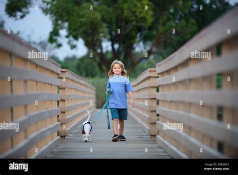 Kid taking a dog for a walk outdoors. Child with pet friend. Children ...