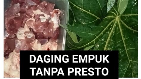 DAGING EMPUK TANPA PRESTO DENGAN DAUN PEPAYA Hanya 30 Menit YouTube