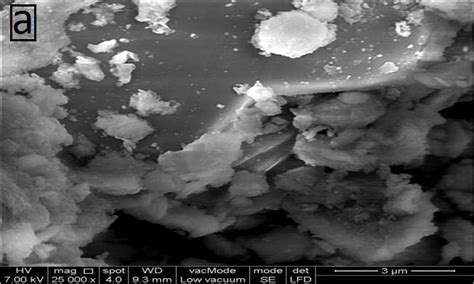 SEM Images Of A Cu II Schiff Base Intercalated MMT Complexes And B