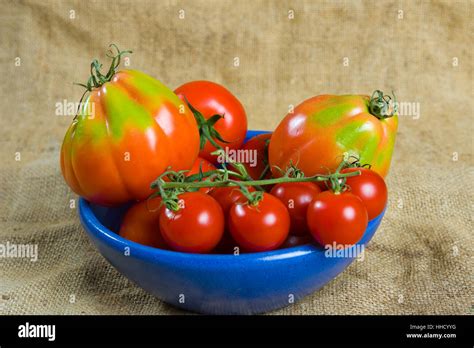 Freshness Vegetable Tomato Still Life Food Aliment Object Health