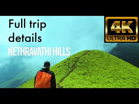 Nethravathi Peak Trekking The Ultimate Guide To Kudremukh Trekking