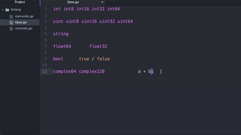 0010 07 Tipos de Dados Básicos da Linguagem Go Golang Aula Tutorial