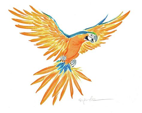Macaw Parrot in Flight Painting by Stephanie Przybylek - Fine Art America