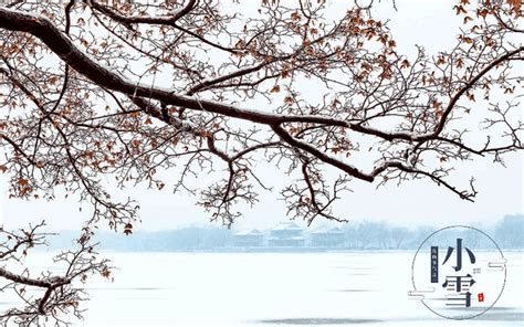 【科普】节气养生小雪 科普 江西省中医药研究院