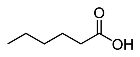 PPT Esters Revision Matching Names Structures Of Esters DOKUMEN TIPS