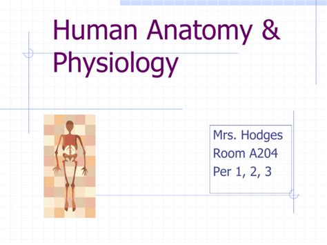 Human Anatomy Biol Southington Public Schools