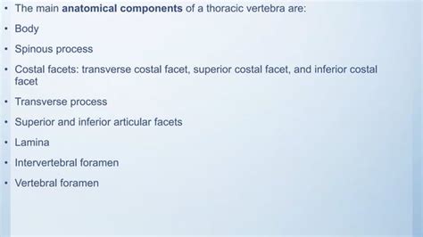 Radiographic Anatomy Of Thoracic Lumbar Spine Sacrum And Coccyx Ppt