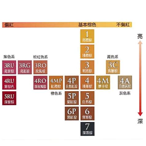 Cielo 宣若 Ex染髮霜 2淺橙棕3明亮棕3ro玫瑰棕3c焦糖棕3ru亮紫棕，有5款可選擇，下單前請先詢問貨量 Yahoo奇摩拍賣