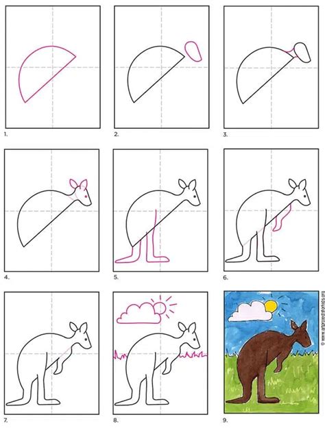 Kangaroo Drawing Step Step