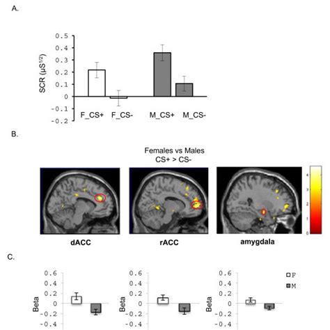 Differences Between Men And Women In Psychophysiological And Bold Download Scientific Diagram