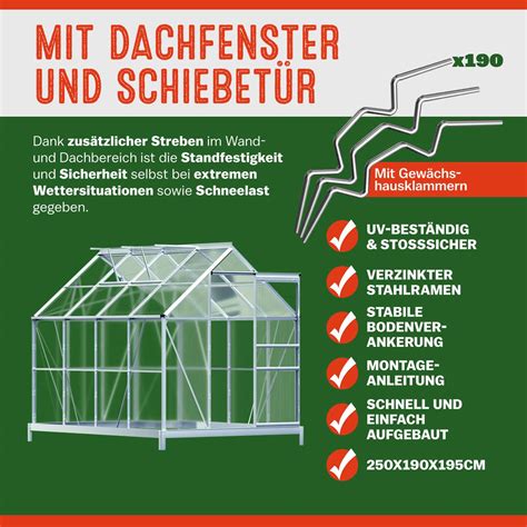 Aluminium Greenhouse X X Cm With Foundation Deubaxxl