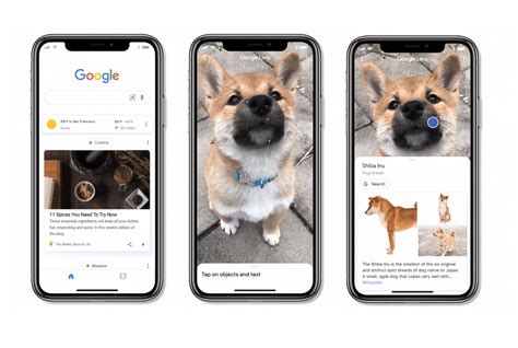 Google Lens Launched in iOS App