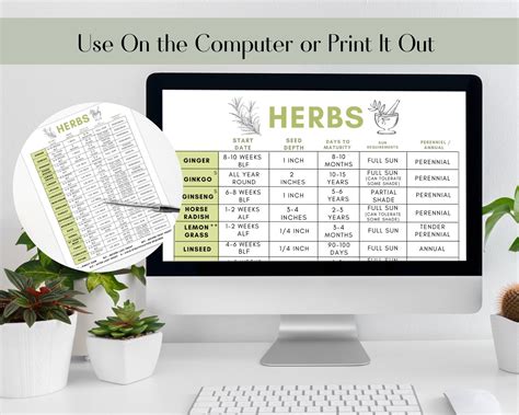 Ultimate Herb Garden Seed Starting Cheat Sheet Beginner Gardner