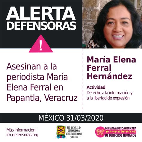 Alertadefensoras MÉxico Asesinan A La Periodista María Elena Ferral