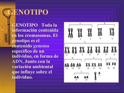 1 Embriologia Herencia Y Genetica