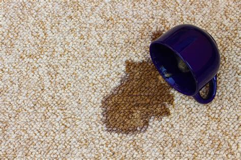 Remove Coffee Stains and Pet Stains from your Carpet