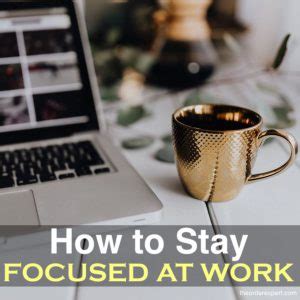 stay focused  work  single day