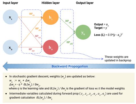 What Is A Multilayer Perceptron Mlp Or A Feedforward Neural Network