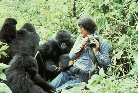 Dian Fossey and the Mountain Gorillas - The Leakey Foundation